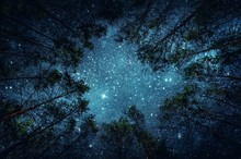 Beautiful Night Sky, The Milky Way And The Trees. Elements Of This Image Furnished By NASA.