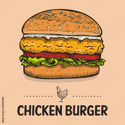 Hand Drawn Chicken Burger, vector Stock Vector Adobe Stock