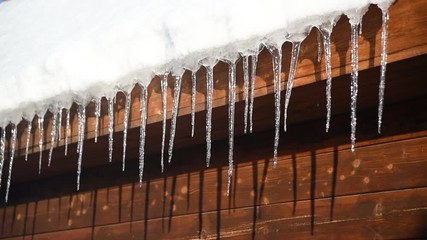 Wall Mural - icicles glisten in the sun and dripping drops