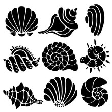 Sea Shells Icons 