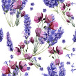 Wildflower lavender flower pattern in a watercolor style isolated.
