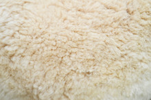 Alpaca Wool Close Up