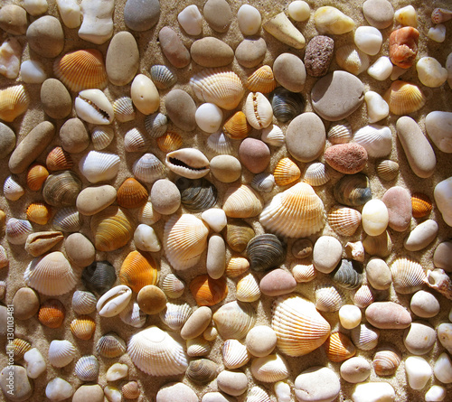 Naklejka dekoracyjna Small seashells and stones. Pattern.
