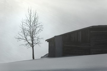 Wall Mural - Foggy winter landscape