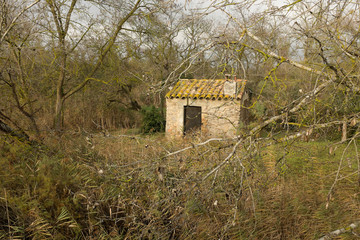 Wall Mural - Woodland building.