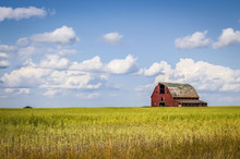 Old Abandoned Red Barn Sitting In A Field Of Green Grass Under A Blue Sky Filled With White Clouds