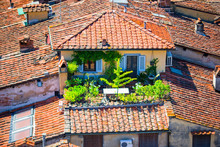 Beautiful View Of Ancient Old Buildings With Red Roofs Background Mountains In Lucca, Italy