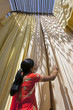 © robertharding - Woman in sari checking the quality of freshly dyed fabric hanging to dry, Sari garment factory, Rajasthan