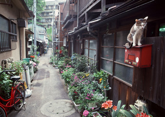 Canvas Print - Back Street