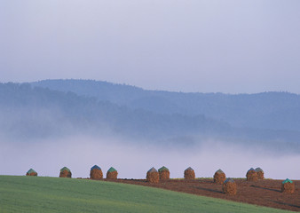 Poster - Pasture