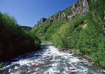 Wall Mural - Mountain Stream