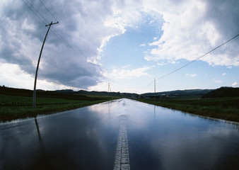 Wall Mural - Road