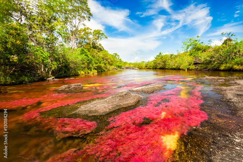 Fotografía River landscape in Colombia, Cano Cristales