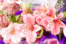 Bouquet Of Alstroemeria Close Up Macro Background