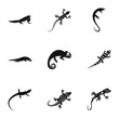 Lizard icons set. Simple illustration of 9 lizard vector icons for web