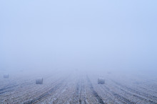 Straw Bales On Winter Field