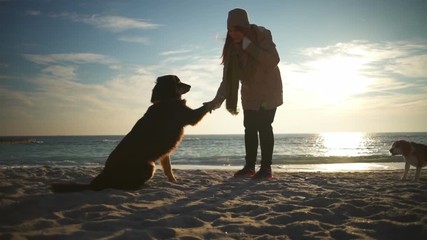A young beautiful woman training a dog to give paw and feeding it on the beach