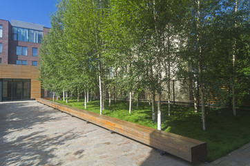 Quiet green area in the city center. Moscow, Russia.