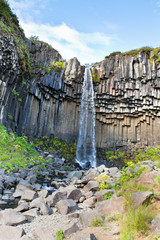 Sticker - Svartifoss Waterfall in Iceland