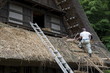 © robertharding - Village residence roof thatching at Nihon Minkaen (Open-air Folk House Museum) in Kawasaki, Japan