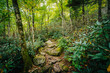 © jonbilous - The Black Rock Nature Trail, at Grandfather Mountain, North Caro