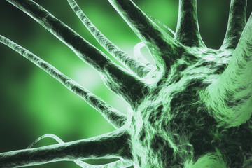 Wall Mural - 3d rendering virus, bacteria, cell infected organism, virus abstract background.