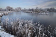 A Beautiful Hoar Frost On A December Afternoon At Bure Park In Great Yarmouth, Norfolk