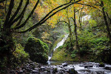 Wall Mural - Columbia Gorge National Scenic Area