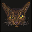 Сat's head. Abyssinian cat. . Vector decorative element for embroidery, patches and stickers