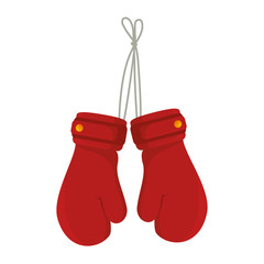 Wall Mural - boxing gloves equipment icon vector illustration design