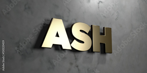 Fotografie, Obraz Ash - Gold sign mounted on glossy marble wall - 3D rendered royalty free stock illustration