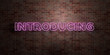 INTRODUCING - fluorescent Neon tube Sign on brickwork - Front view - 3D rendered royalty free stock picture. Can be used for online banner ads and direct mailers..