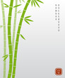 Chinese bamboo or japanese bambu asian vector background