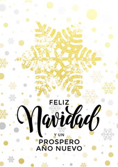 Wall Mural - Merry Christmas Spanish Feliz Navidad, New Year Ano Nuevo greeting