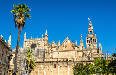 Wall Mural - Cathedral of Saint Mary of the See in Seville - Andalusia, Spain