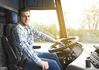 Wall Mural - Handsome driver sitting in bus