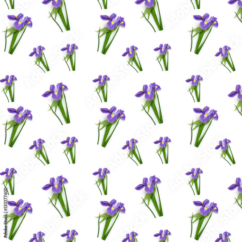 pattern purple iris on a green stem
