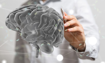 brain