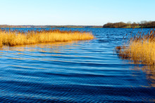 Narrow Waterway Inlet In Reed Bed With The South Swedish Archipelago In The Background.