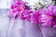 Colorful purple and white flowers with an area for text
