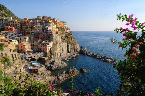 Manarola piccolo paese delle cinque terre, Liguria, Italia Poster