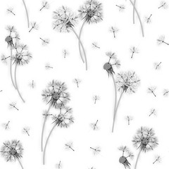  beautiful seamless graphic pattern of dandelions on a blue background