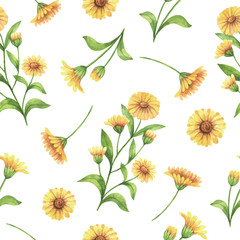 Watercolor vector seamless pattern with calendula, marigold flowers and branches.