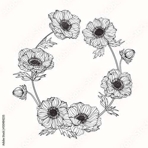 Hand drawing flowers. Anemone flower vector illustration and clip art