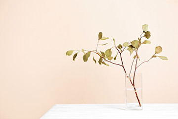 Wall Mural - Green branch in vase on light background