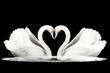 Love swans making a heart.