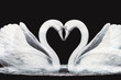 Love swans making a heart.