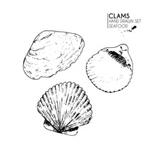 Vector Hand Drawn Set Of Seafood Icons. Isolated Clams. Engraved Art. Delicious Marine Food Menu Sketched Objects.
