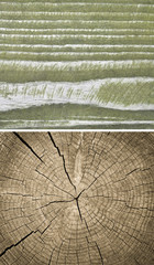 Wood texture. Lining boards wall. Wooden background. pattern. Showing growth rings. set