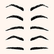 Types of brow vector illustration. Template hand drawing eyebrow